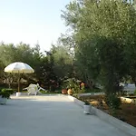 In Olive Grove * Gerakini