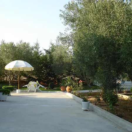 In Olive Grove * غيراكيني