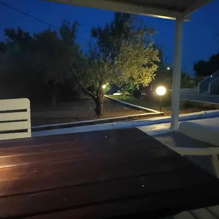 In Olive Grove غيراكيني