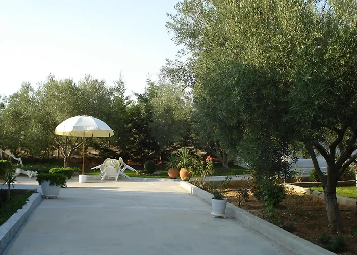 In Olive Grove * Геракини